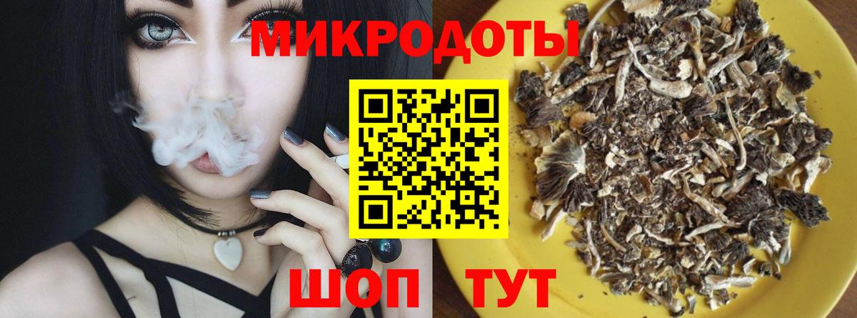 Юрга  Псилоцибиновые грибы прущие грибы  Вход с VPN  Галлюциногенные грибы Psilocybine cubensis 