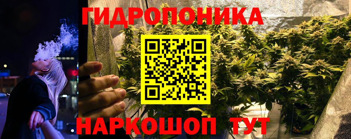 Бошки марихуана Amnesia  Вход с VPN  Бошки Шишки тримм  Юрга  Бошки Шишки гибрид 